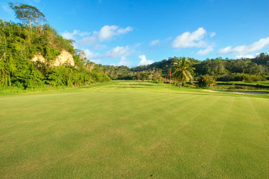배너-6