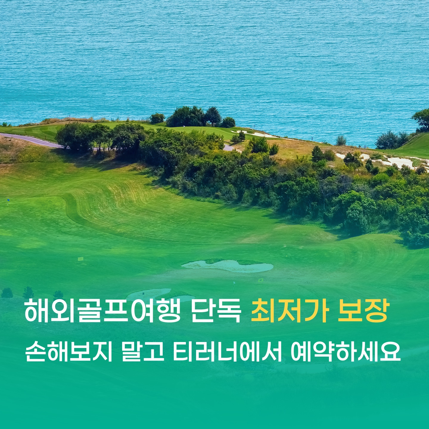 모바일 배너-1