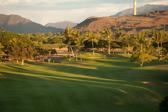 배너-3